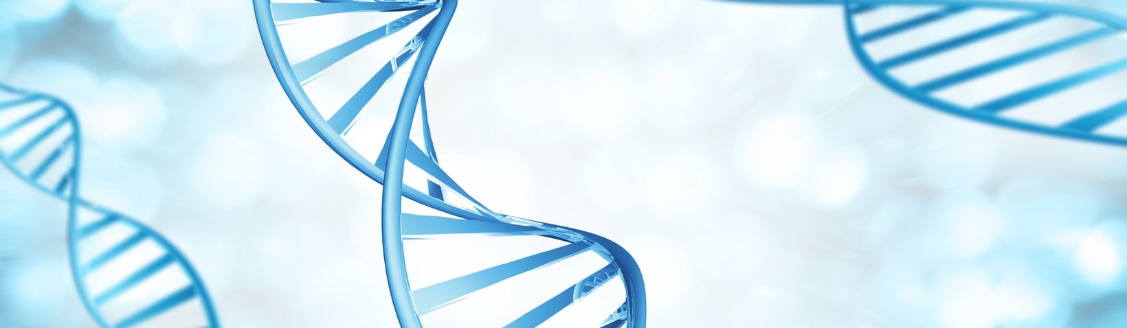 DNA-Helix DNA-Helix
