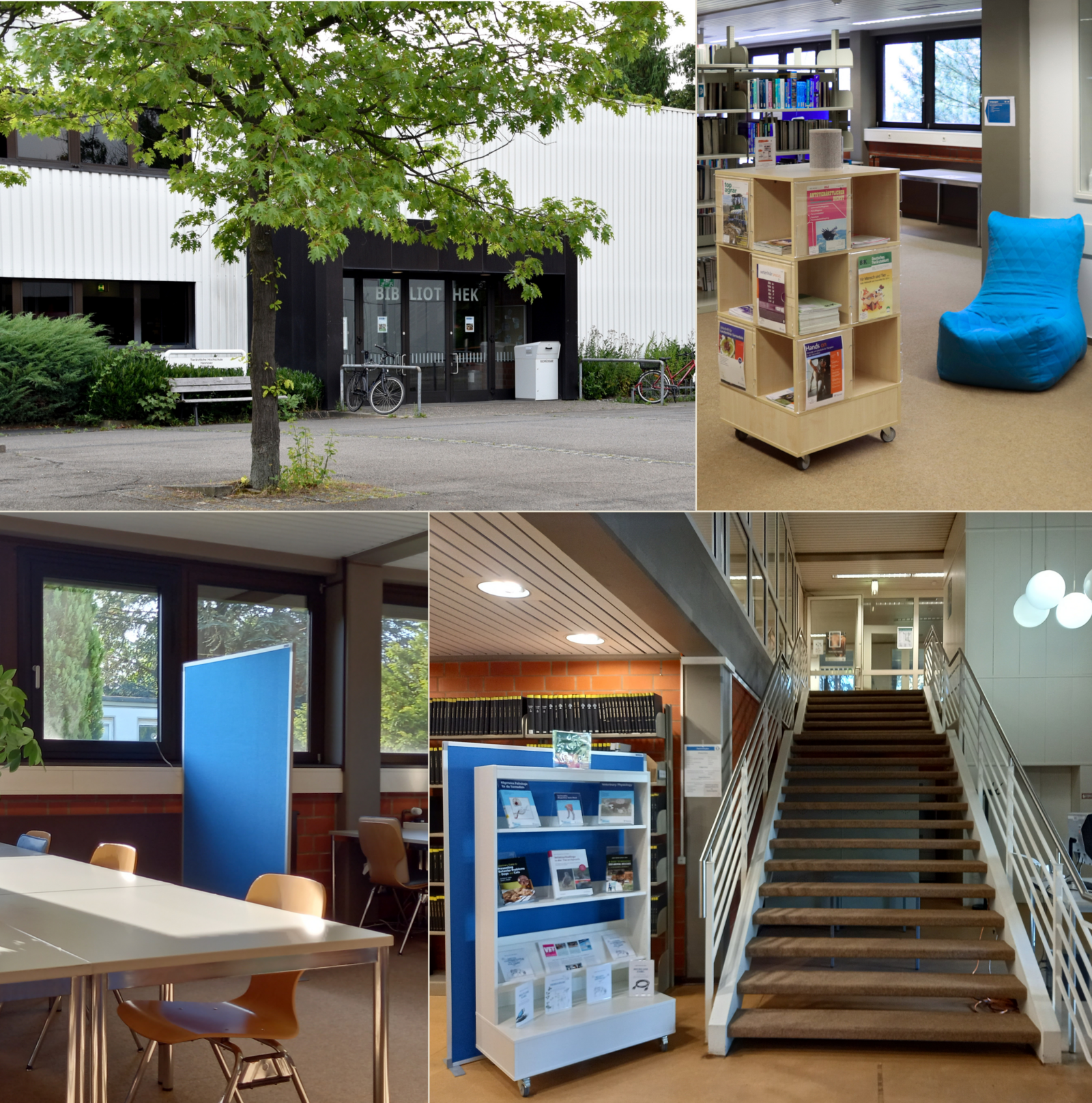 Fotocollage, die Ausschnitte aus der Bibliothek zeigt