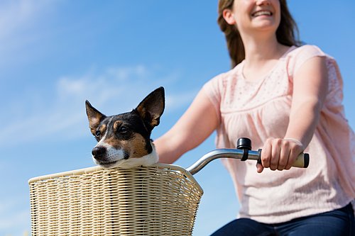 Frau mit Hund und Fahrrad