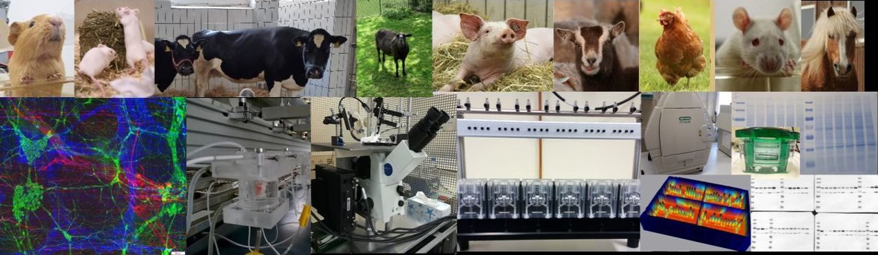 Tiere und Forschungsmethoden des Instututes