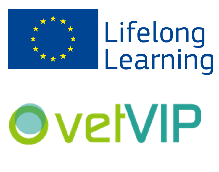 Logo vetVIP