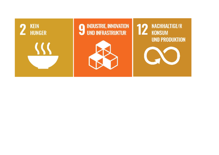 SDG Icons 2,9,12