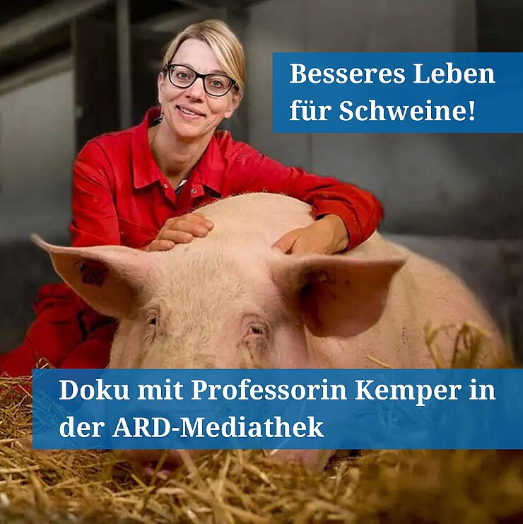 Professorin Kemper im Stall mit einem Schwein, das im Stroh liegt.