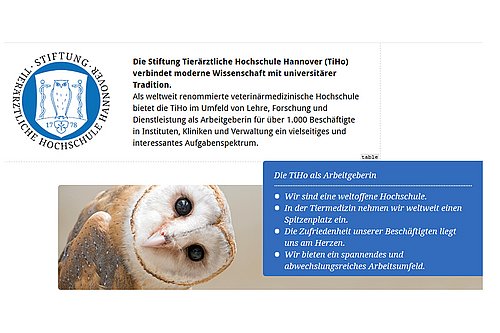 Screenshot Bewerbungssoftware TiHo