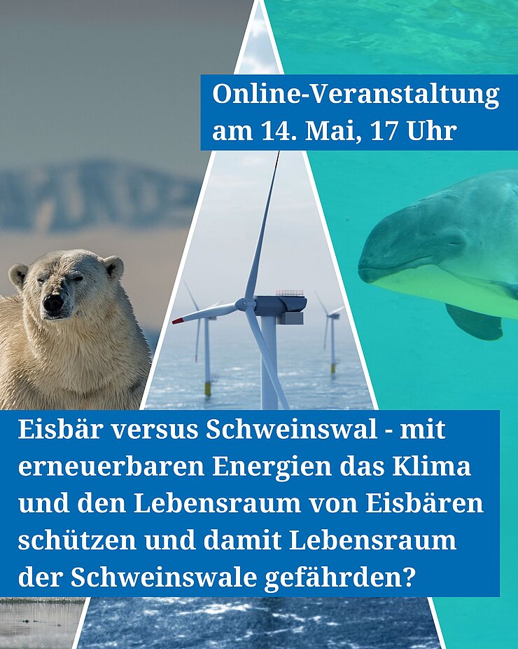Bild vom Eisbär, Schweinswal und Offshore-Windkraftanlagen