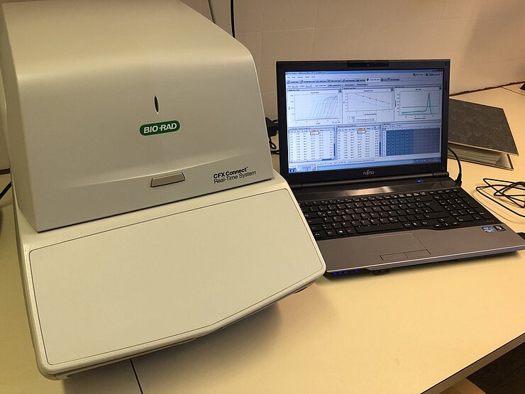 qPCR