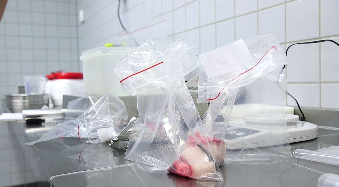 Gewebeproben eines Schweinswals in Plastiktüten