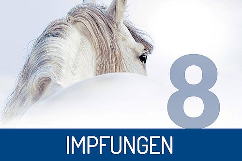 Ein Pferdekopf von hinter mit der Zahl acht und dem Wort Impfungen.