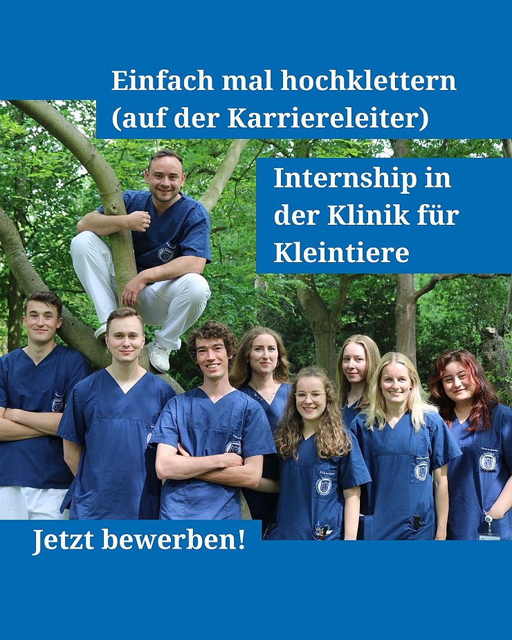 Junge Mitarbeiterinnen und Mitarbeiter der Klinik für Kleintiere