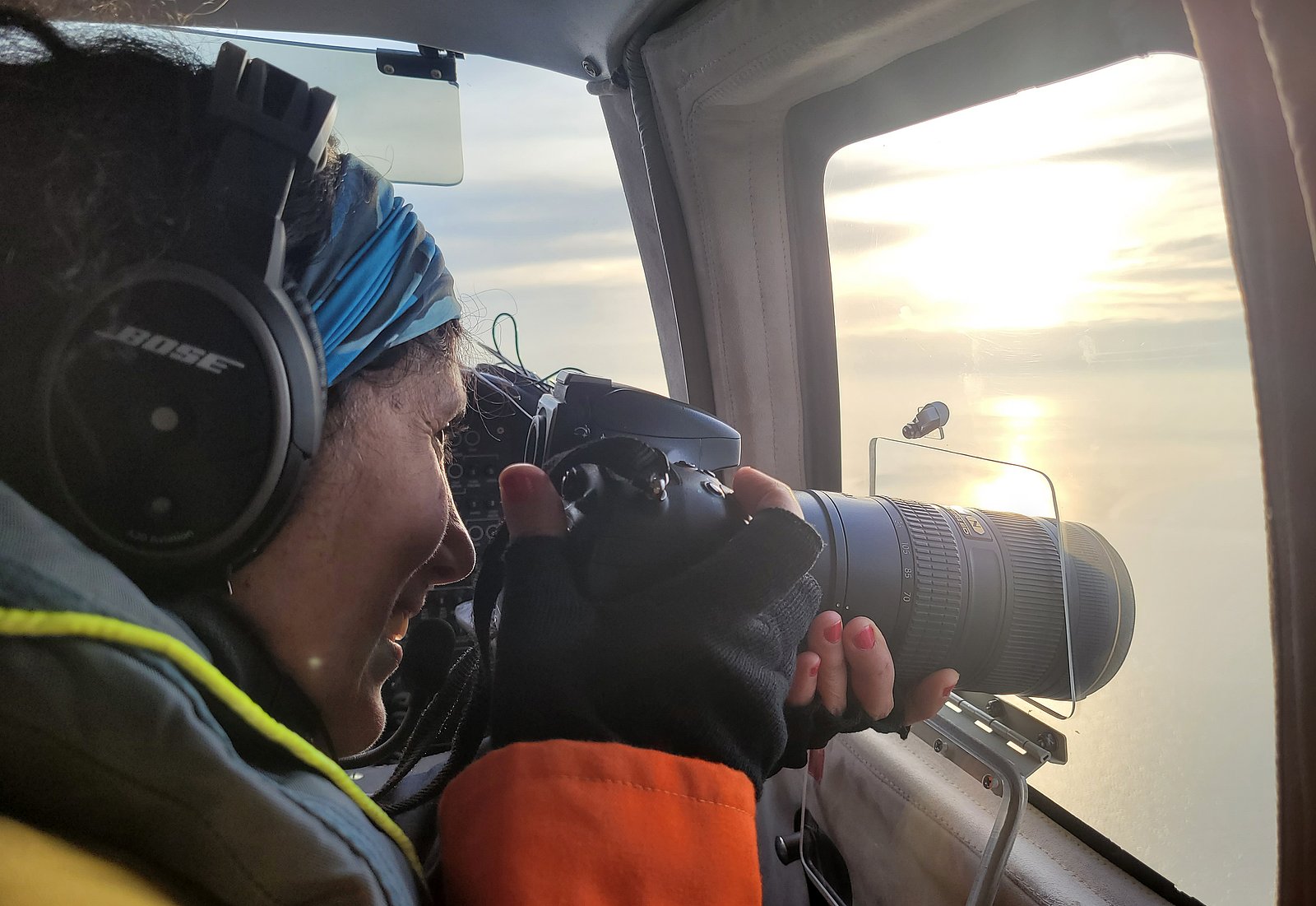 Observer beim Fotografieren eines Kegelrobbenliegeplatz vom Flugzeug aus