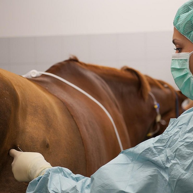 Vorbereitung zur Laparoskopie
