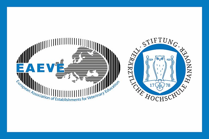 Logos der EAEVE und der TiHo