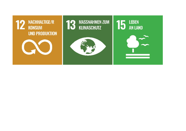 Icons für SDG 12,13,15