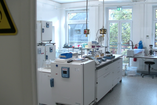 Photo: Laboratory of the Institute.