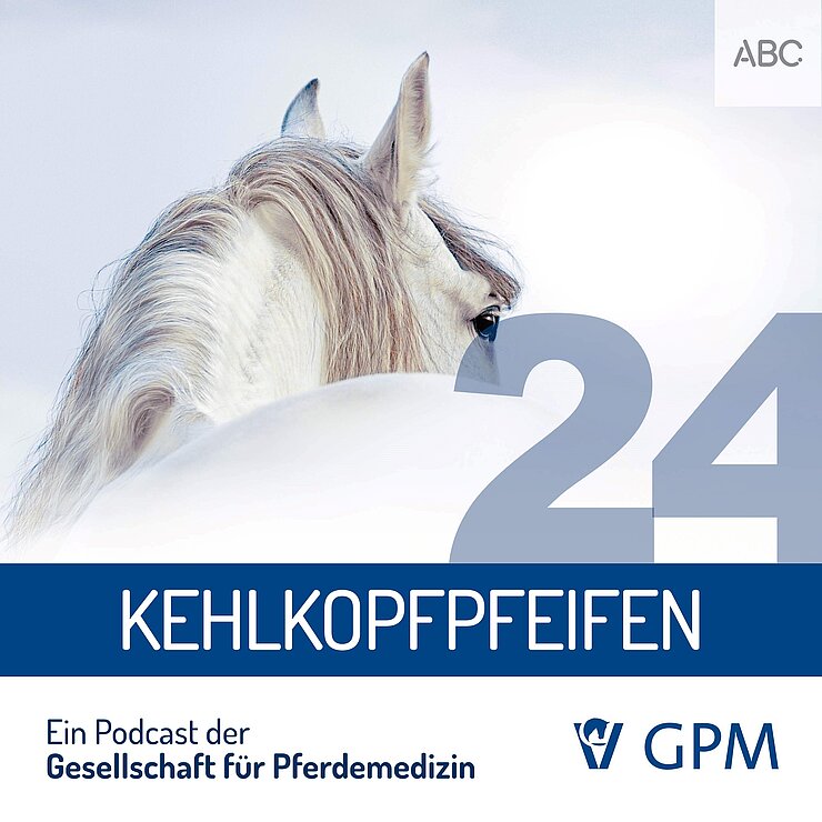 Grafik für den Podcast "Pferdemedizin heute" zum Thema Kehlkopfpfeifen