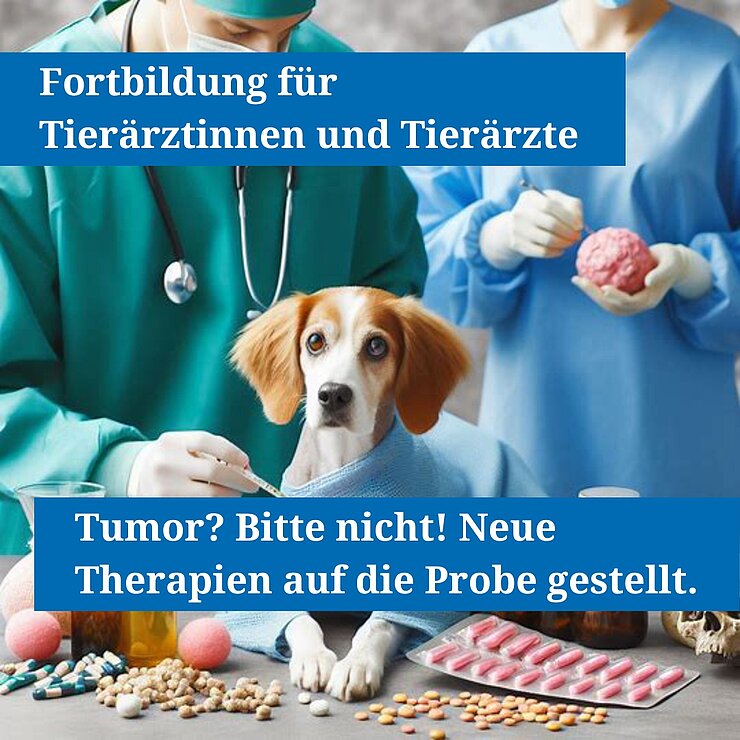 Tumor? Bitte nicht! Ernährung, bist du die Lösung? Neue Therapieansätze auf die Probe gestellt