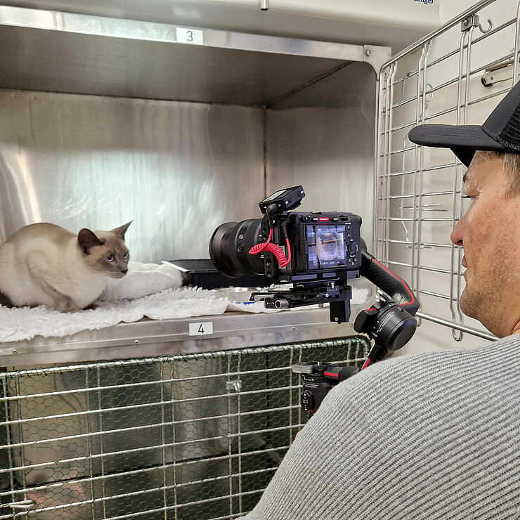 Ein Kameramann filmt eine Katze in einer Box.