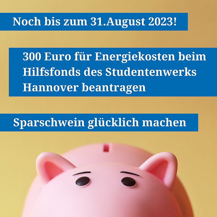 Sparschwein mit Aufruf Energiekosten zu beantragen