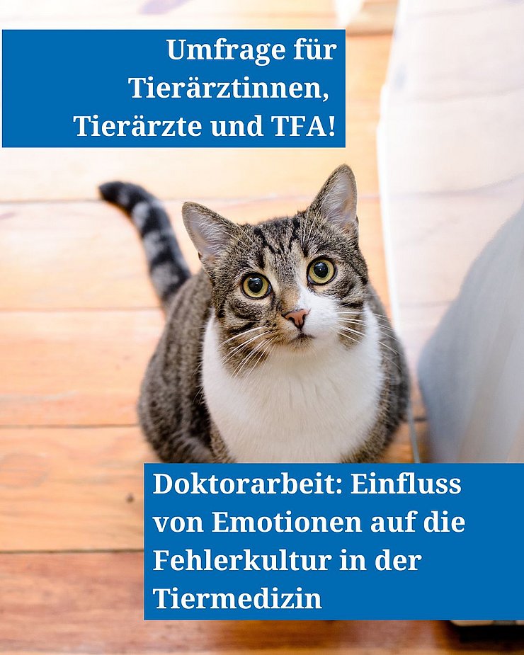 Umfrage Fehlerkultur Tiermedizin