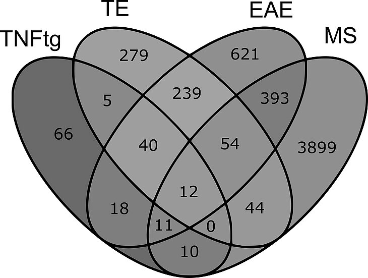 PM140129_Multiple_Sklerose_VennDiagramm_02.jpg