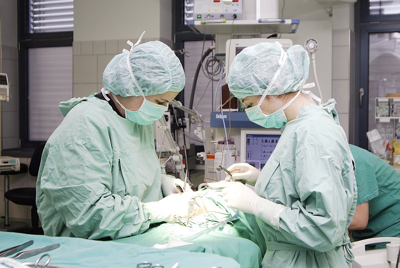 Operation in der Klinik für Kleintiere