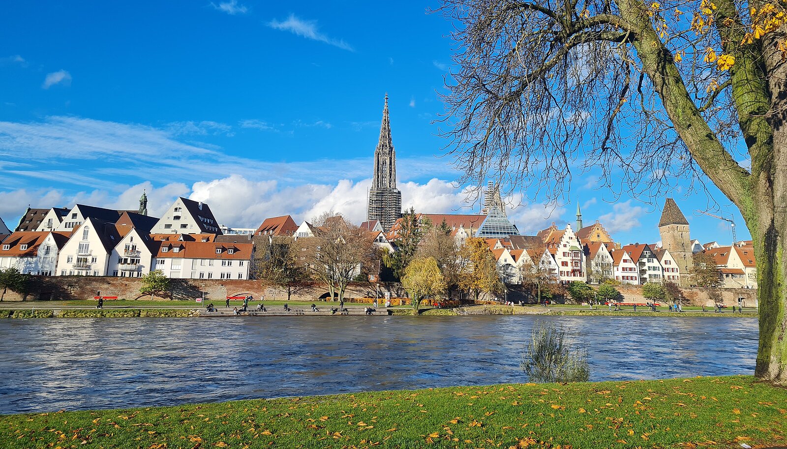 Ansicht von Ulm mit Donau im Vordergrund