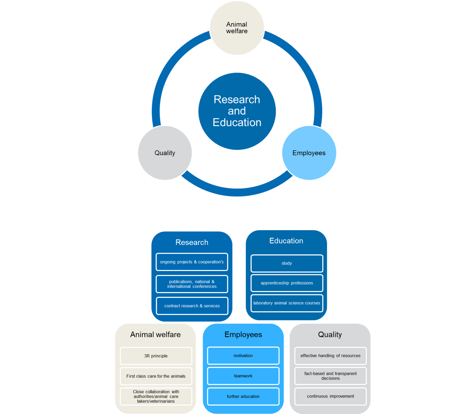 Schema