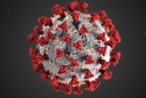 Abbildung eines Corona-Virus