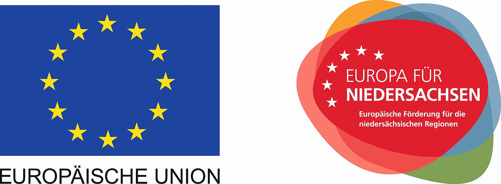 EU Logo