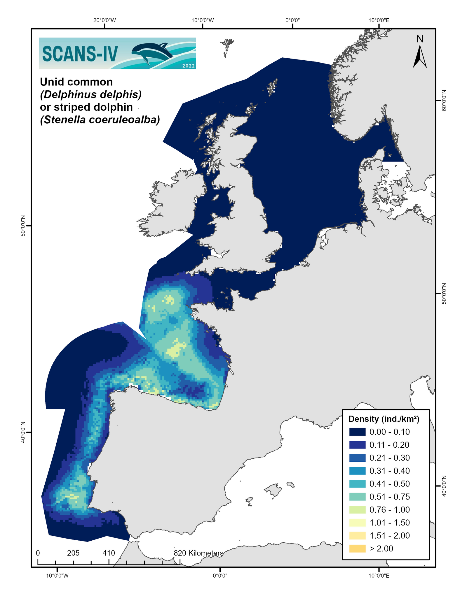 Modelled distribution map unidentified either common or striped dolphin
