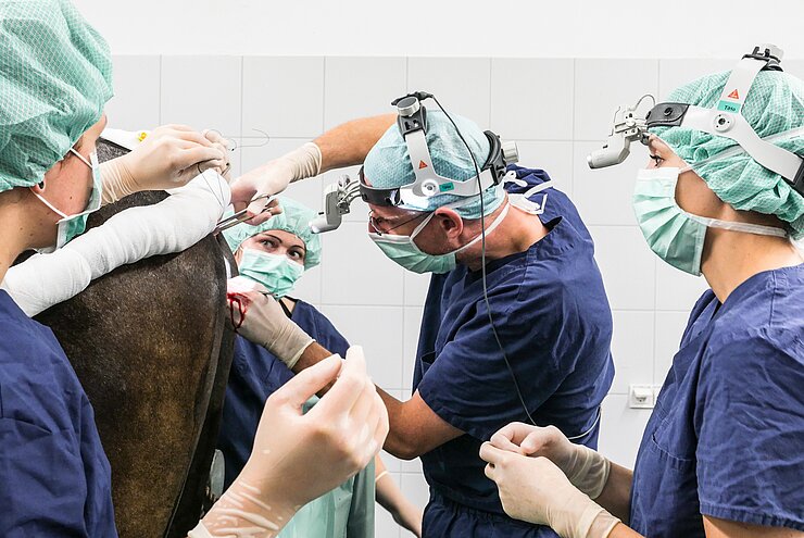 Chirurgische Versorgung einer Verletzung im Bereich des Geburtskanals