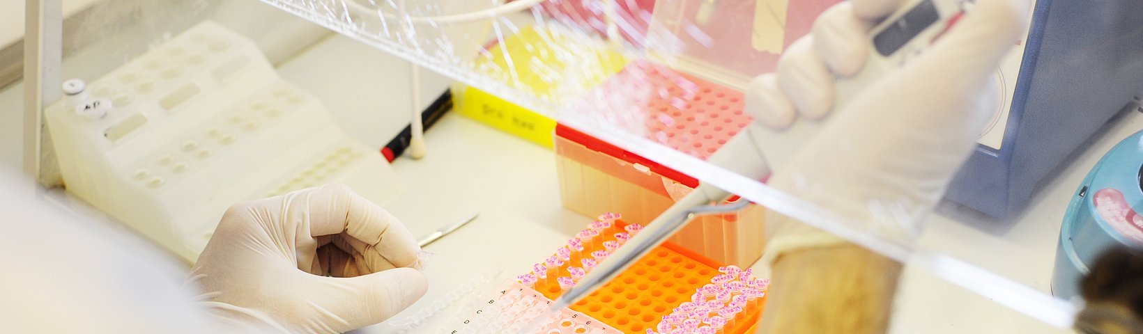 Pipettieren 