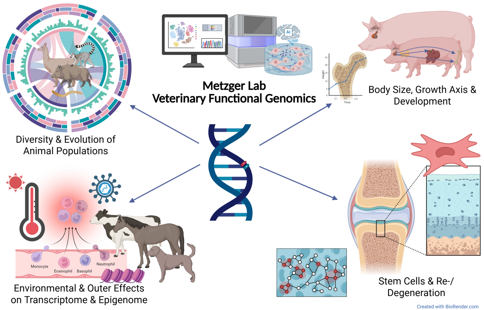 Metzger Lab Research