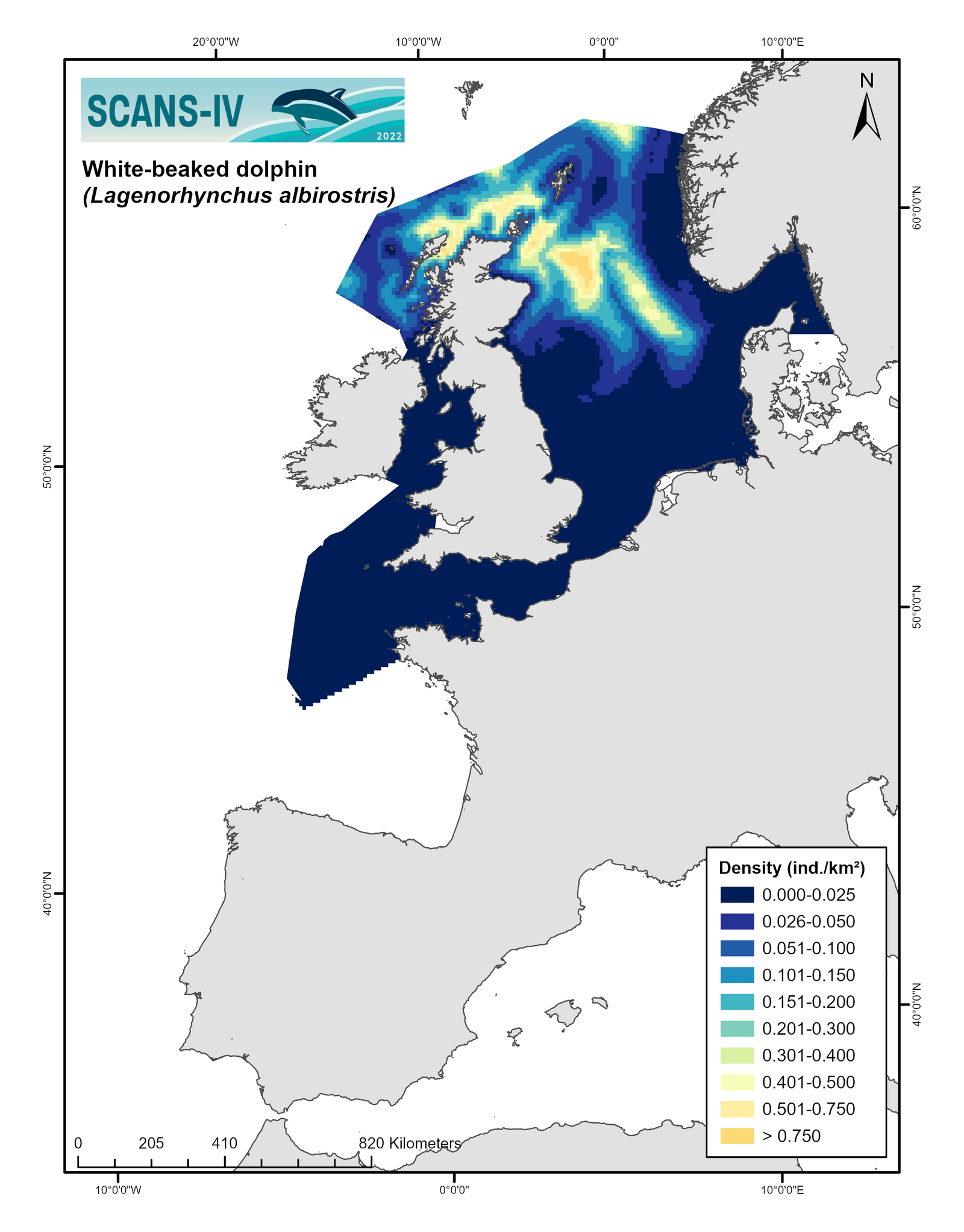 Modelled distribution map White-beaked dophin