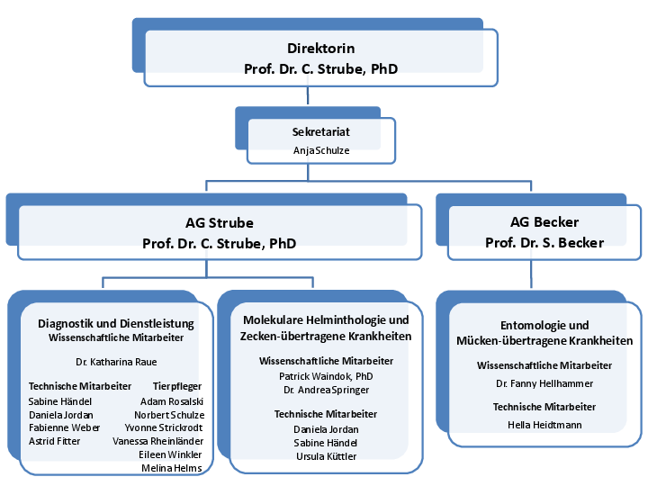 Organigramm