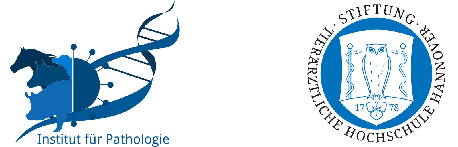 patho-tiho-logo-kombiniert