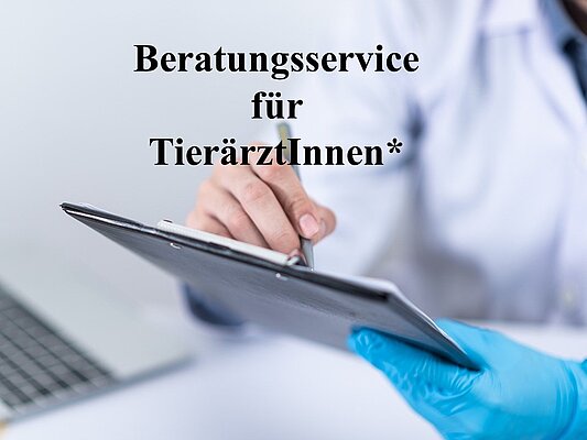 Bildausschnitt eines Tablets gehalten von einer medizinischen person mit blauem Einmalhandschuh auf der linken Hand und dem Schriftzug "Beratungsservice für TieräztInnen*"