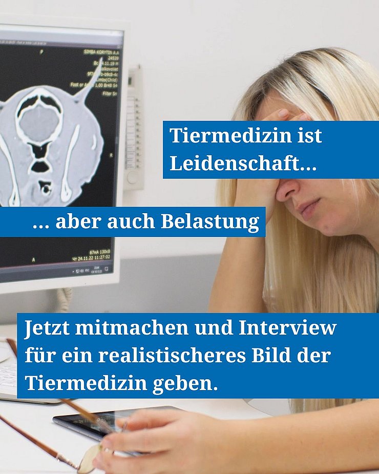 Aufruf zu einer Umfrage