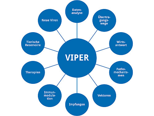 Für VIPER betrachten die Nachwuchsforscherinnen und Nachwuchsforscher neu auftretende Viruserkrankungen aus verschiedenen Blickwinkeln. Grafik: Ann-Kathrin Haverkamp, mod. Melanie Müller