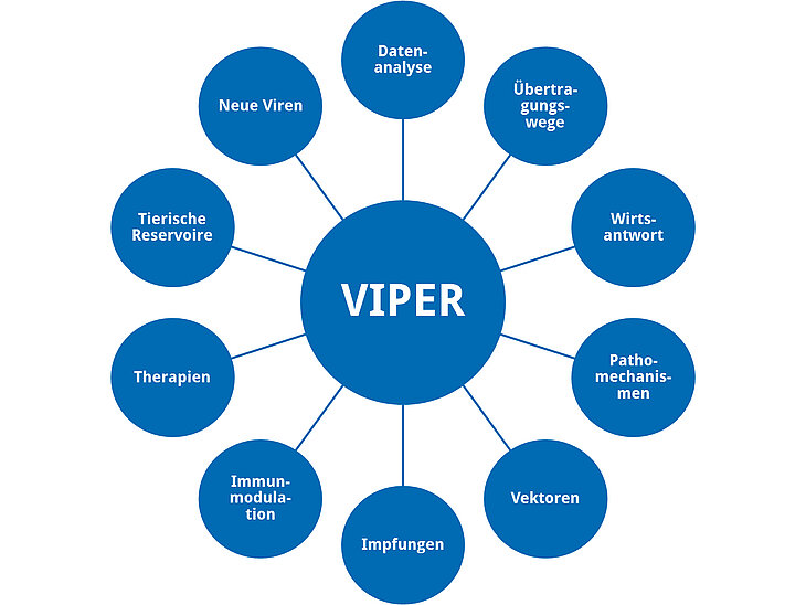 Für VIPER betrachten die Nachwuchsforscherinnen und Nachwuchsforscher neu auftretende Viruserkrankungen aus verschiedenen Blickwinkeln. Grafik: Ann-Kathrin Haverkamp, mod. Melanie Müller