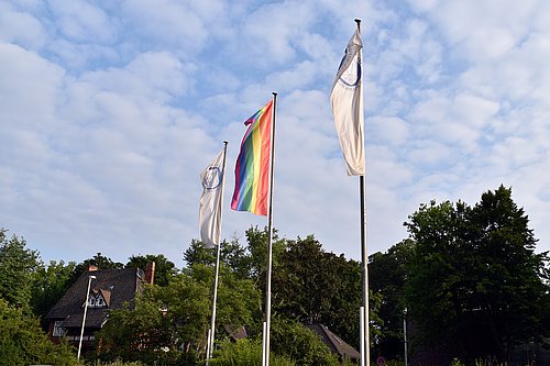 Regenbogenflagge weht vor dem TiHo Tower