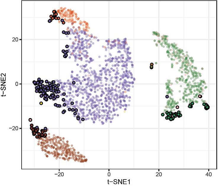scTrimClust
