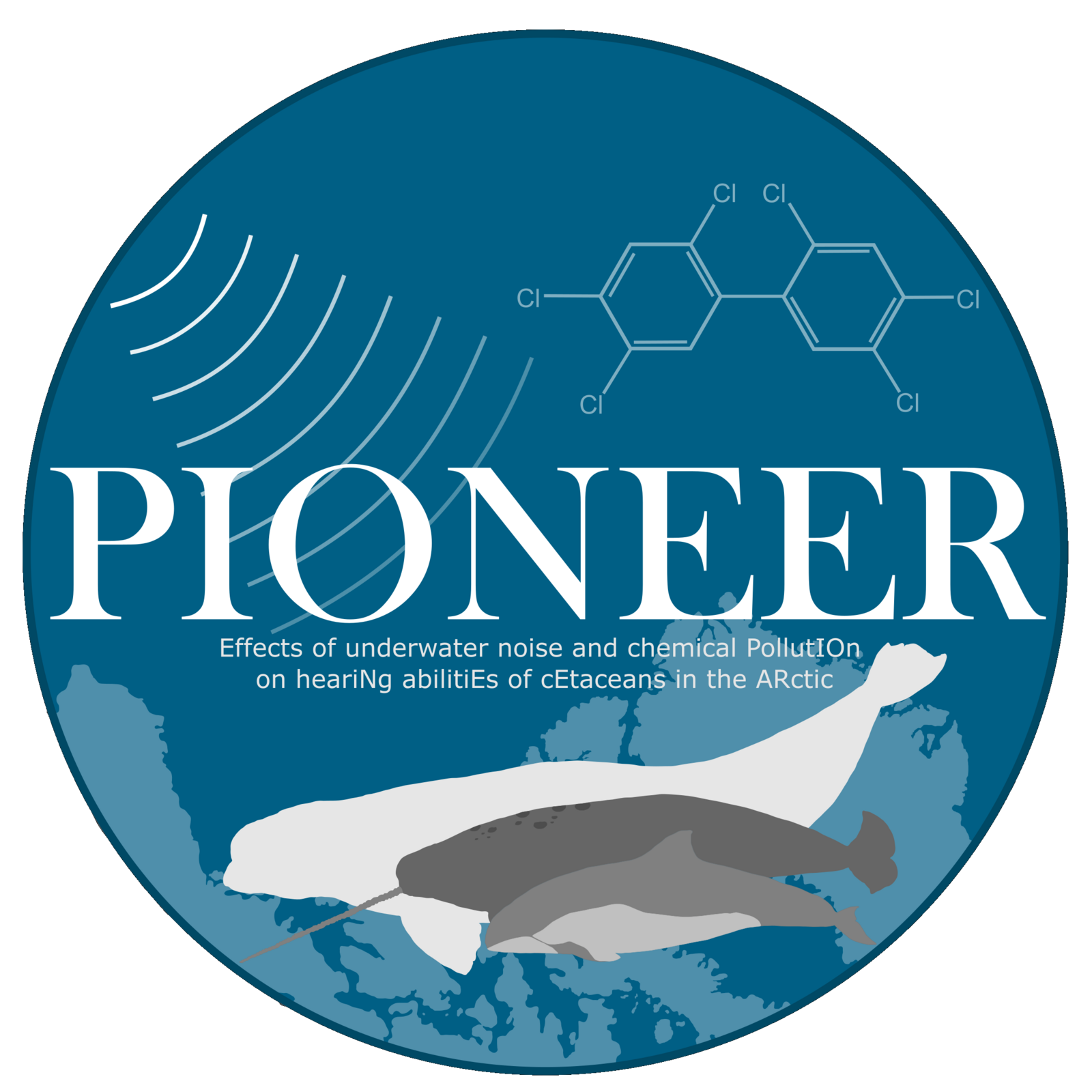 Logo from project Pioneer