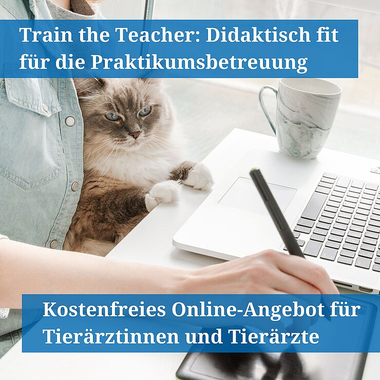 Ein Mensch sitzt mit einer Katzer auf dem Schoß vor einem Laptop