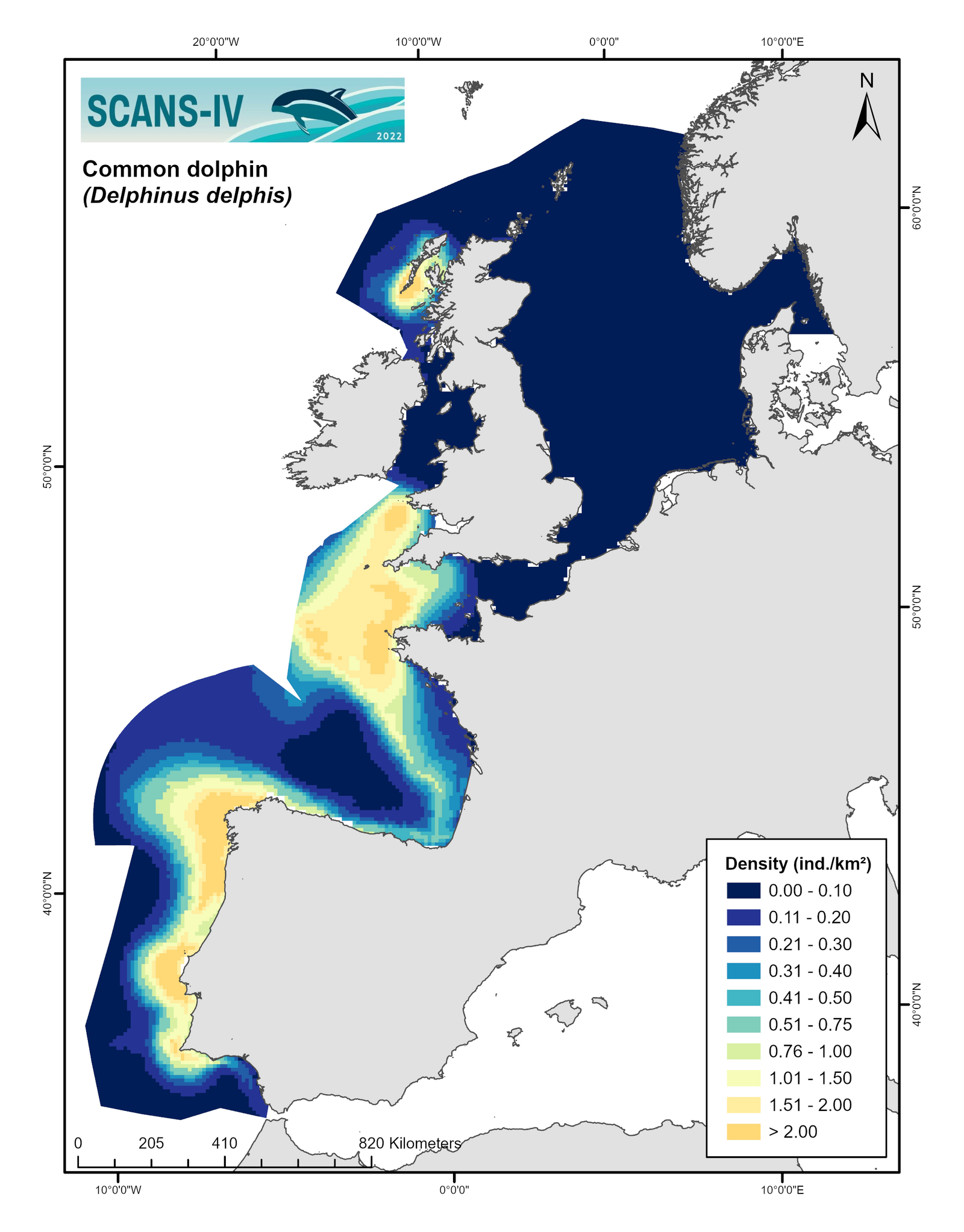 Modelled distribution map Common dolphin