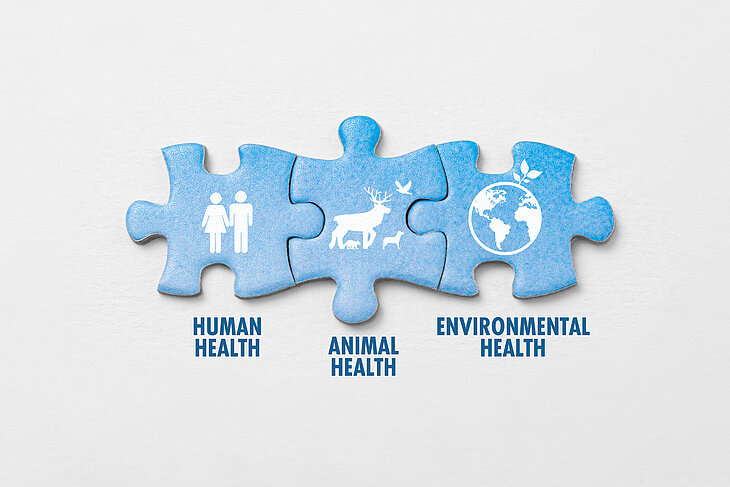 Puzzlestücke auf weißem Hintergrund mit Symbol, die Worte symbolisieren die Verbindung von menschlicher Gesundheit, Tiergesundheit und Umweltgesundheit.