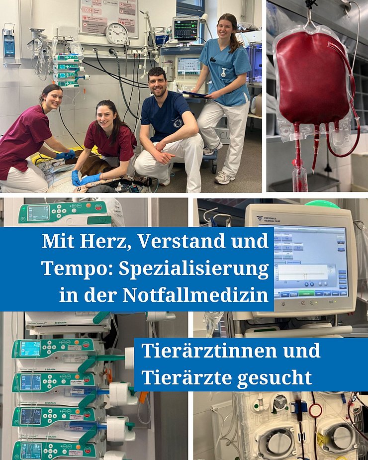 Bildcollage für eine Residency