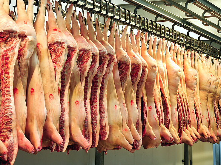 Schweinehälften im Schlachthof