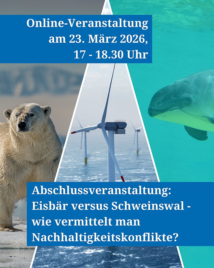Bild von einem Eisbären, einer Offshore-Windkraftanlage und einem Schweinswal
