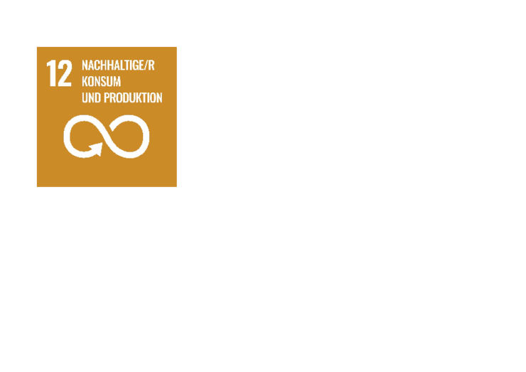 SDG Icon für 12